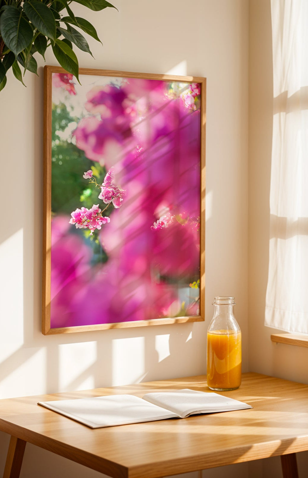 BEACHWOOD BOUGAiNViLLEA framed pink bougainvillea print illuminated by golden afternoon sunlight in cozy room setting