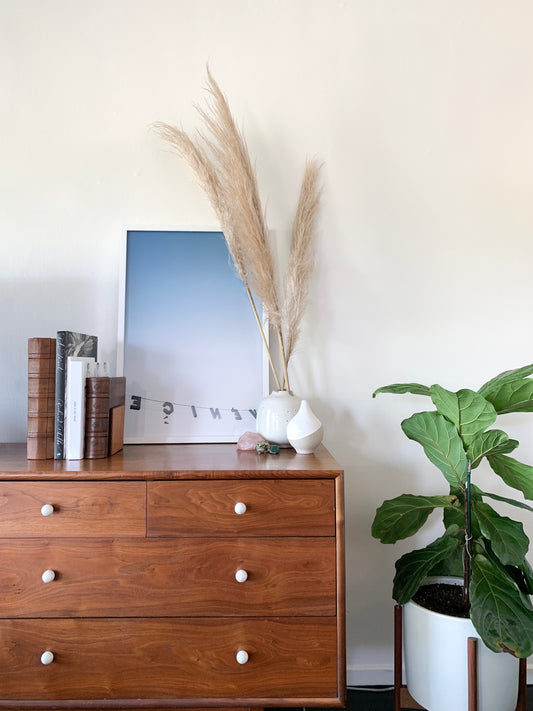 BACKWARDS photograph showing reversed Venice sign against soft ombré sky on wooden dresser with plants and books.