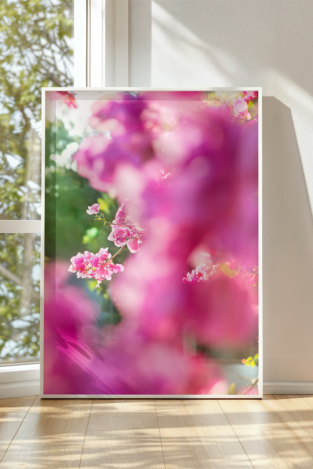 BEACHWOOD BOUGAiNViLLEA framed art print featuring soft pink bougainvillea flowers bathed in golden sunlight.