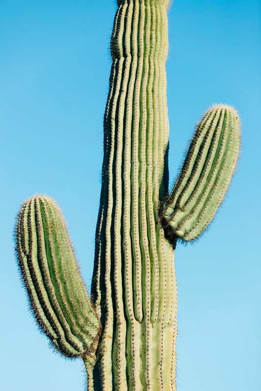 framed minimalist modern wall art by denise crew