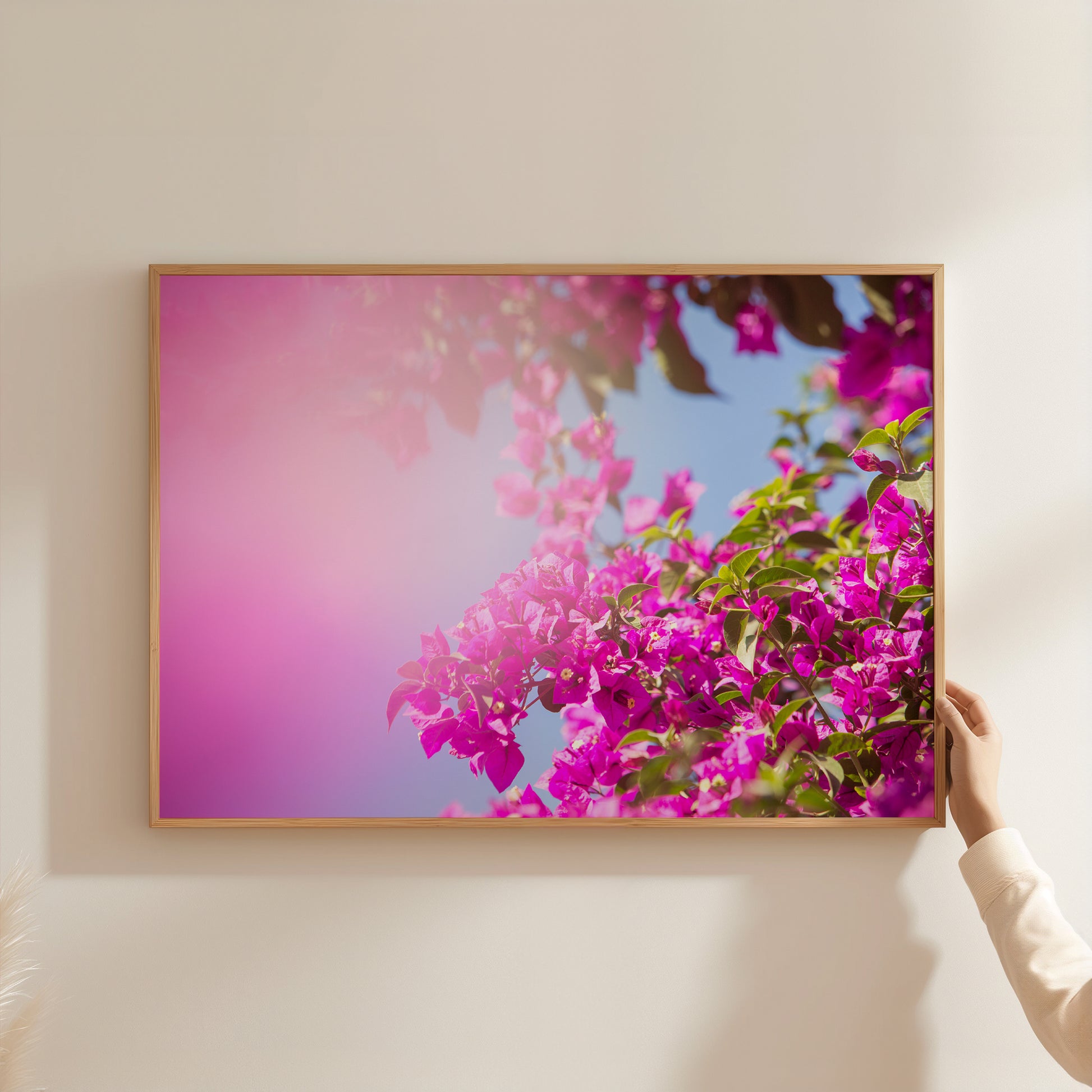 BUCKiNGHAM ROAD abstract bougainvillea art print with vibrant pink flowers against a clear blue sky in wooden frame.