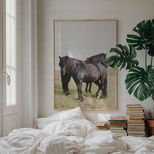 DUO TONE featuring two black horses standing peacefully in a field, a calm fine art photograph for nature lovers.