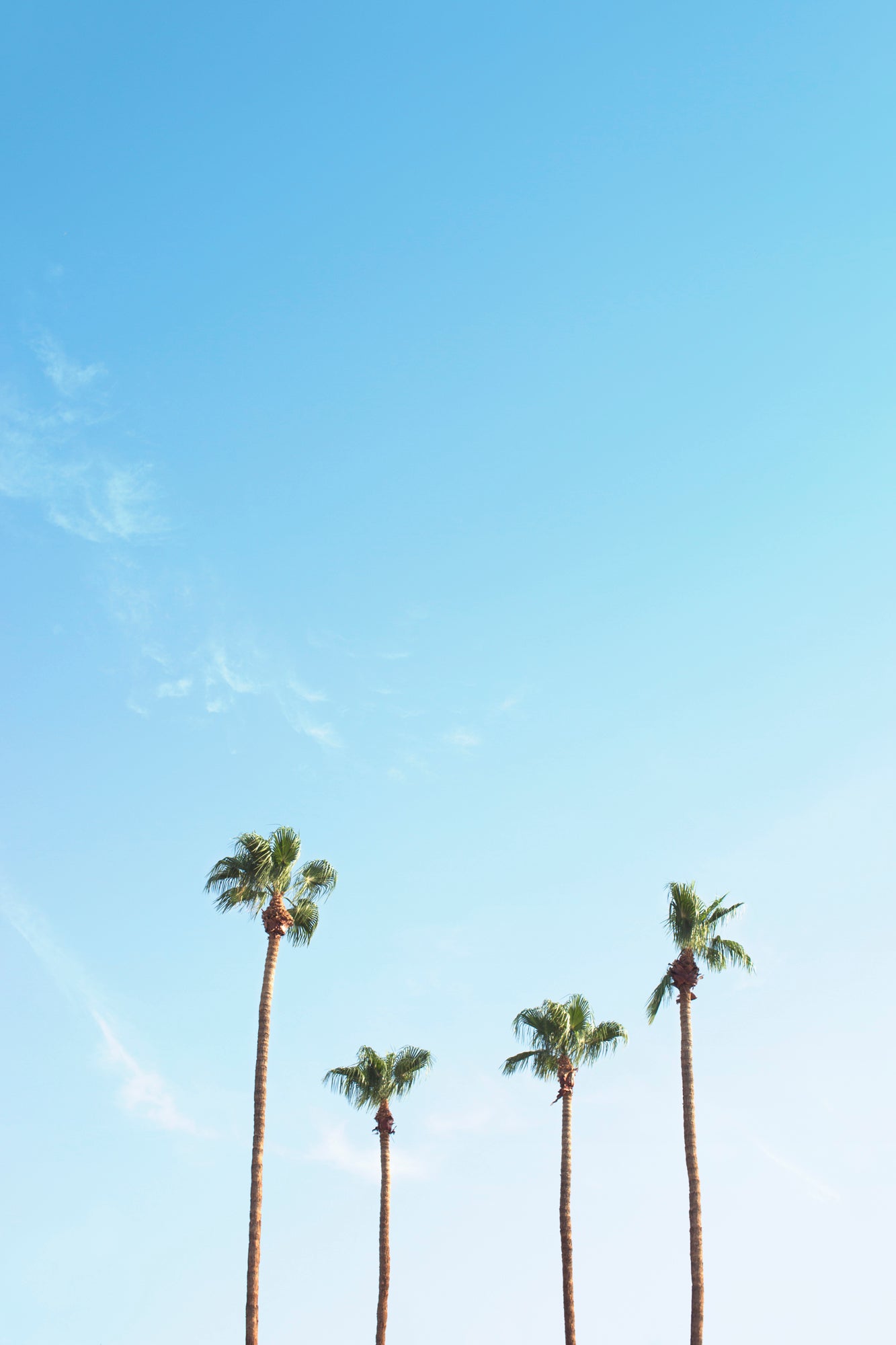 Minimalist palm tree print resembling a family of four under a blue sky, titled FAMiLiA.
