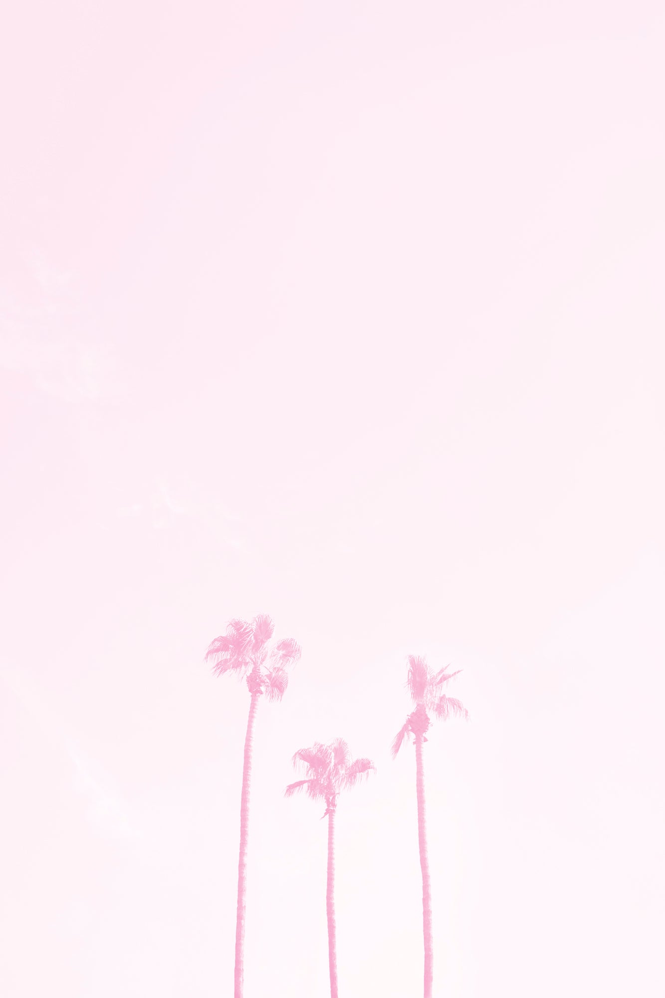 three palm trees washed out in pink symbolizing a family of three minimalist modern wall art by denise crew