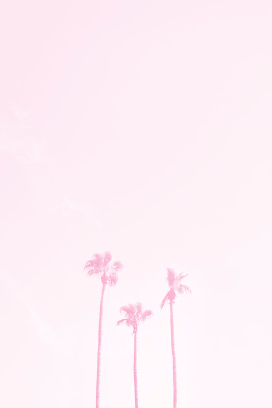 three palm trees washed out in pink symbolizing a family of three minimalist modern wall art by denise crew