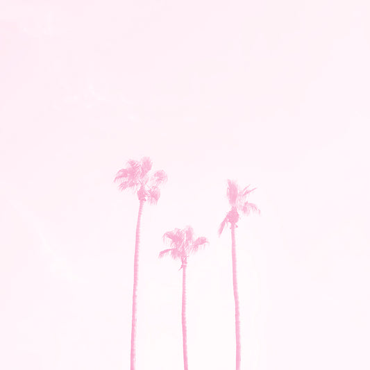 three palm trees washed out in pink symbolizing a family of three minimalist modern wall art by denise crew