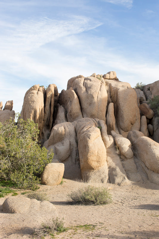 JOSHUA TREE 2002 photograph of sunlit desert rock formations with native brush in Joshua Tree National Park.