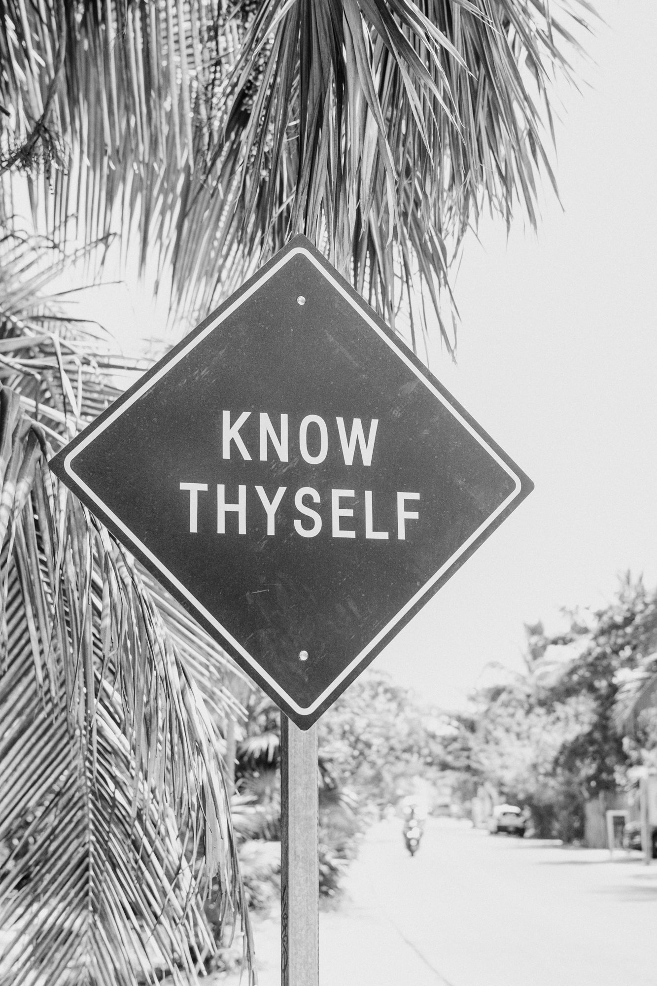 KNOW THYSELF black-and-white photo of Tulum road sign with palm trees, minimalist art for meditation and yoga spaces.
