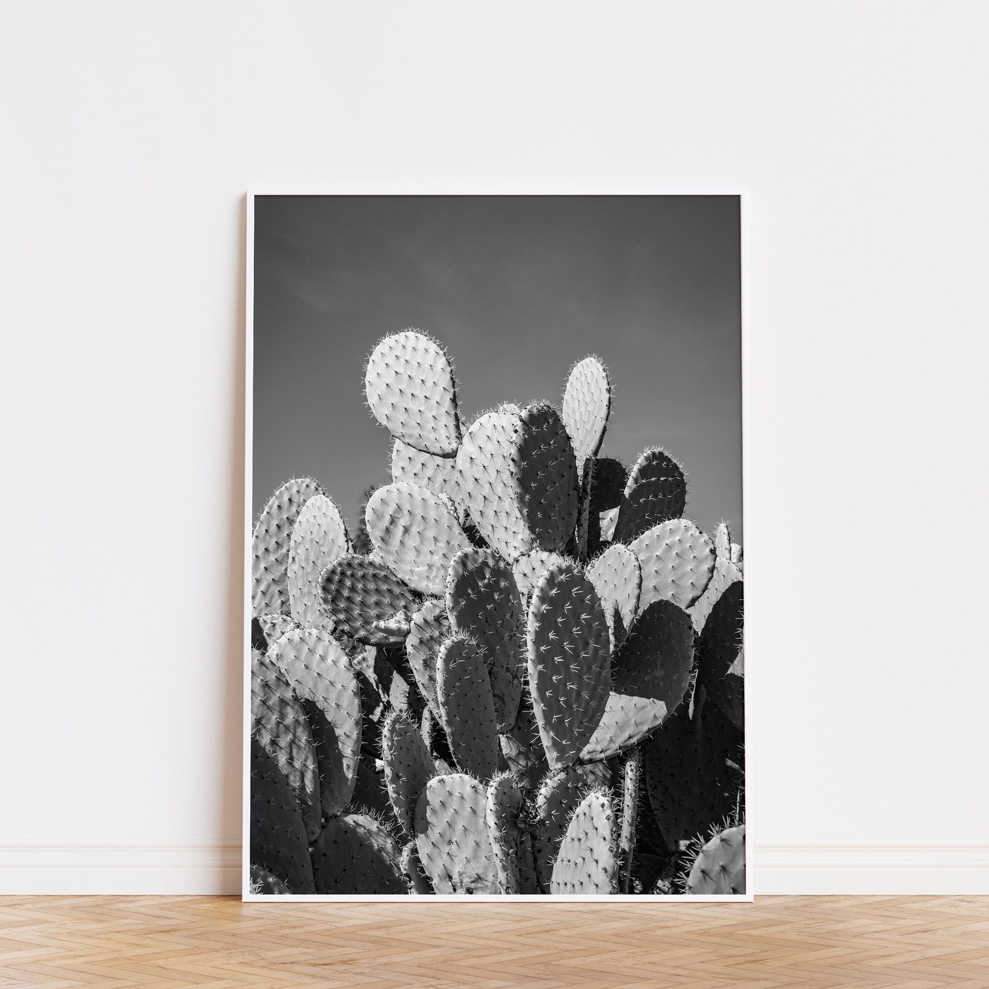 Black-and-white photograph of prickly pear cactus showcasing texture and shadow titled PRiCKLY for modern interior decor.