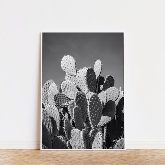Black-and-white photograph of prickly pear cactus showcasing texture and shadow titled PRiCKLY for modern interior decor.