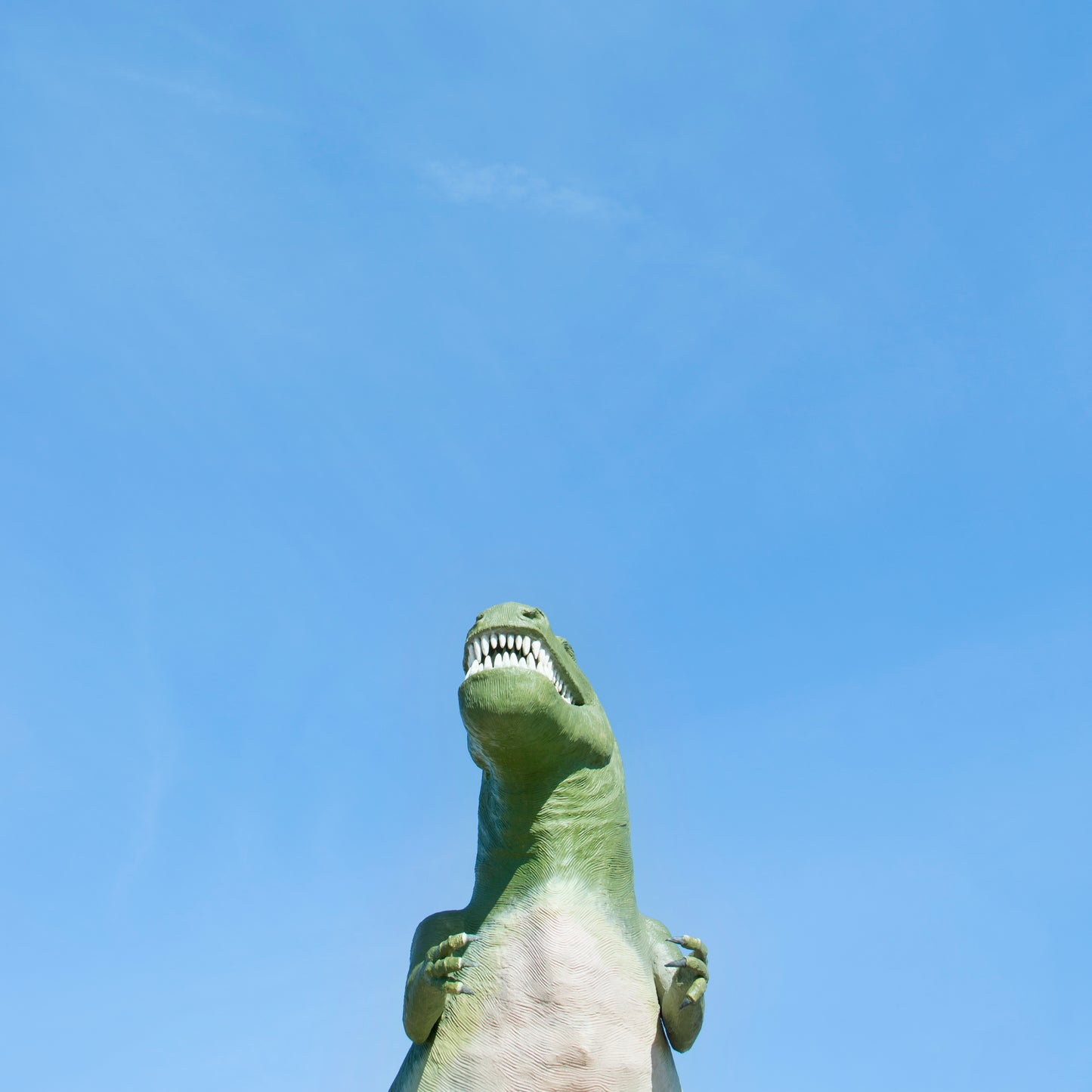 RAWR features a minimalist green dinosaur roaring against a bright blue sky, perfect kid-friendly decor for playful spaces.