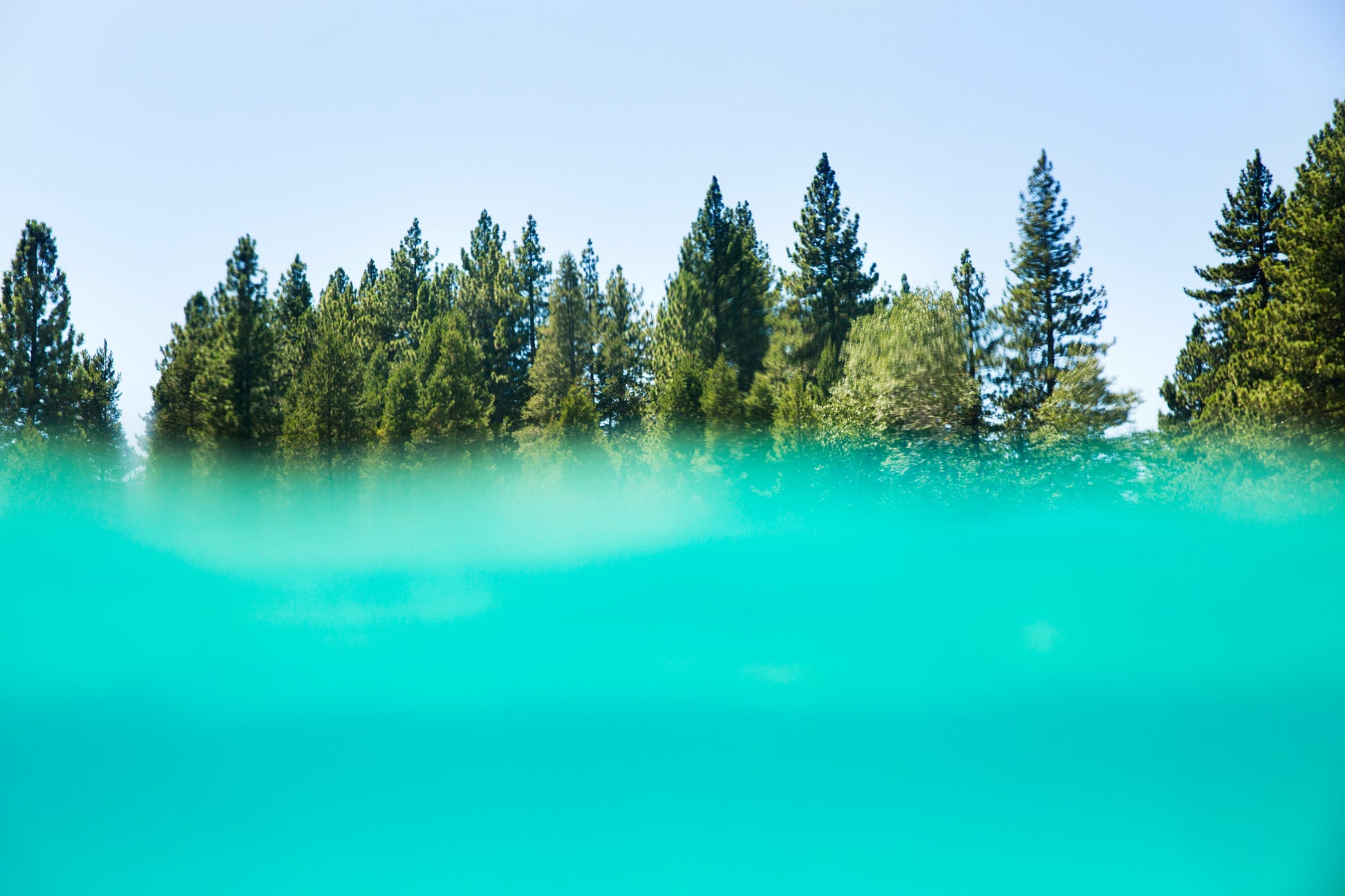 Split view of crystal-clear lake and green forest above waterline – nature photography print