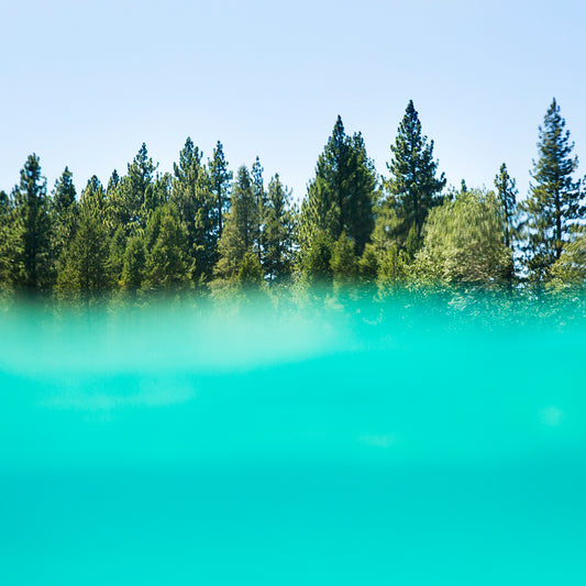Split view of crystal-clear lake and green forest above waterline – nature photography print