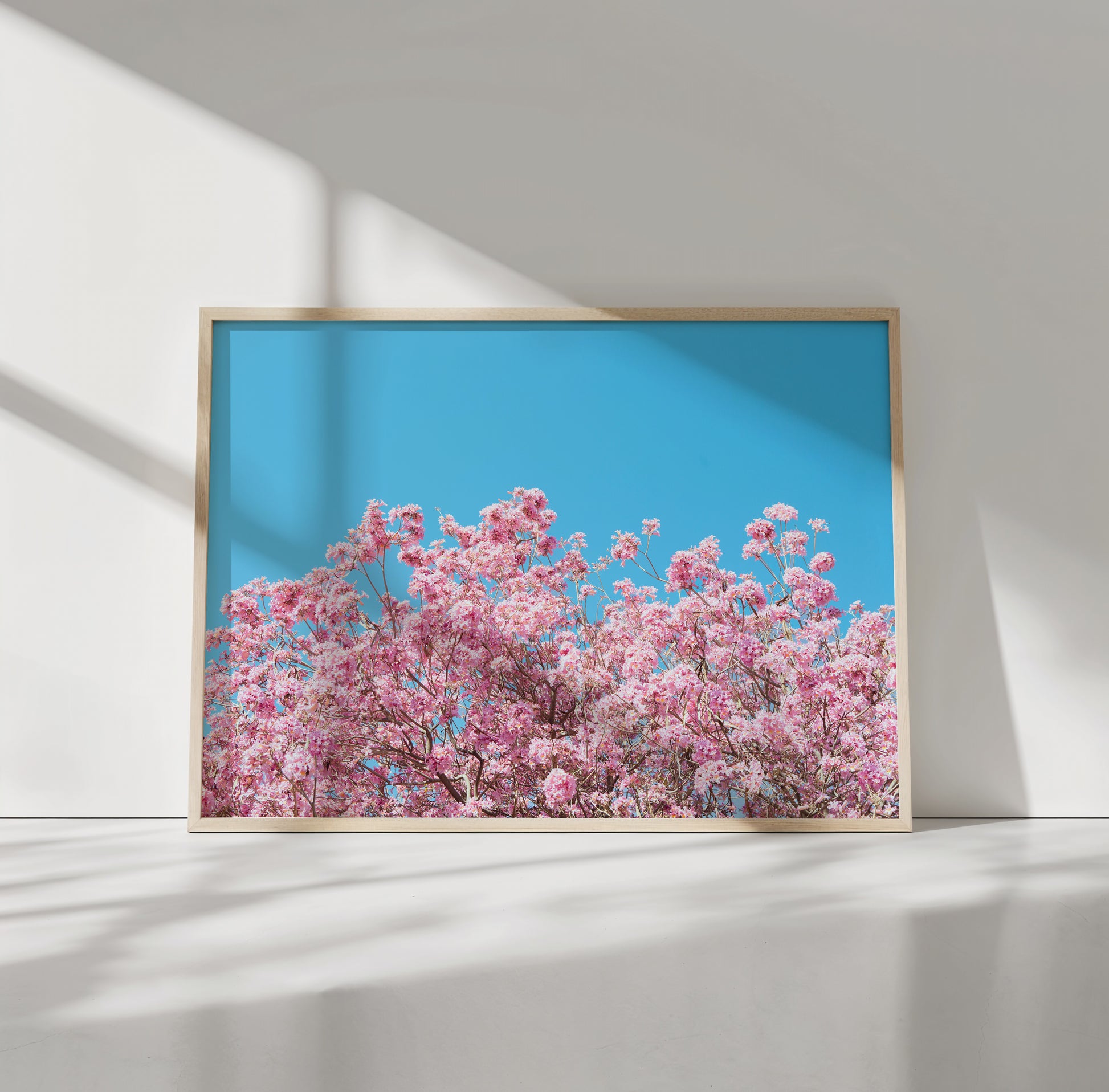 ViLLAGE BLOOM featuring vibrant pink blossoms against a clear cyan blue sky in a modern framed print.