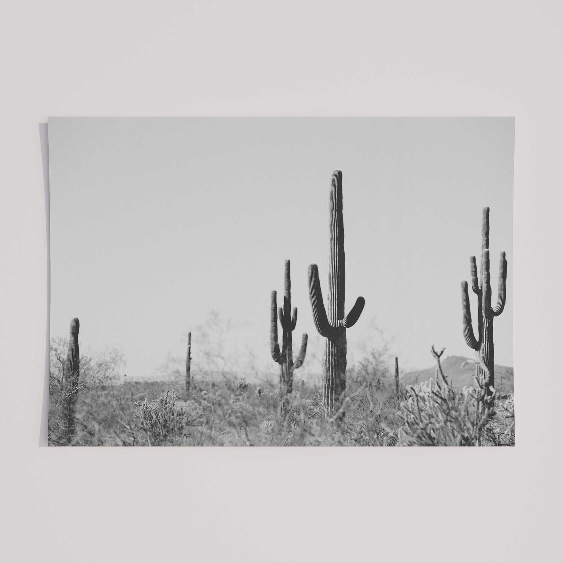 WiLD WiLD black and white saguaro cactus print showcasing minimalist desert landscape for modern boho homes.