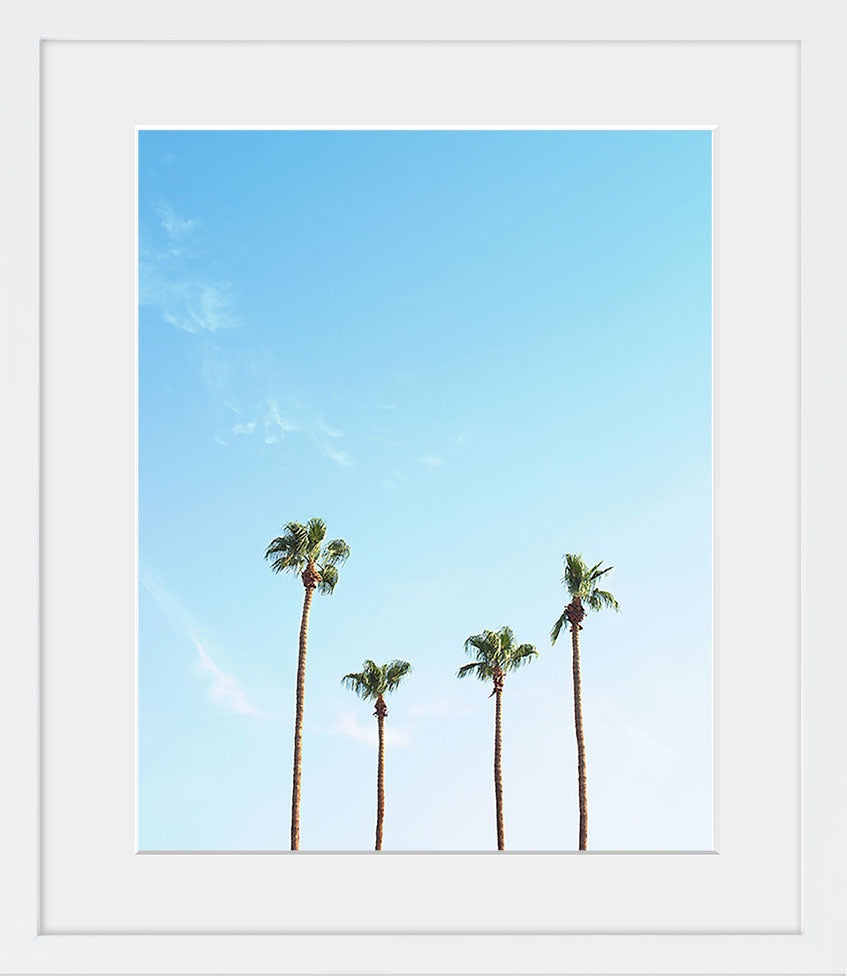 A minimal image of palm trees resembling a family of four. Available in vertical and square formats from size 5x5 to 40x40. Printed on archival luster matte paper. - PRINTSHOP by Denise Crew