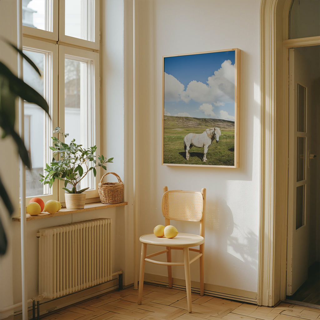 White horse standing in a sunlit field under a clear blue sky – serene nature and animal print