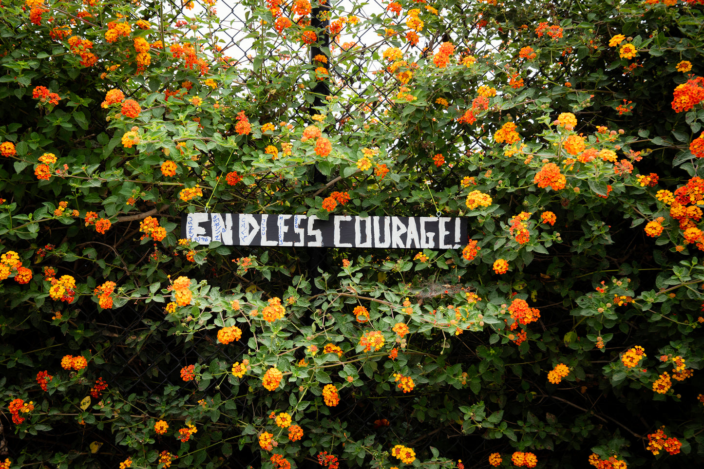 ENDLESS COURAGE vibrant art print on chain-link fence with orange and yellow flowers inspiring resilience and bravery.