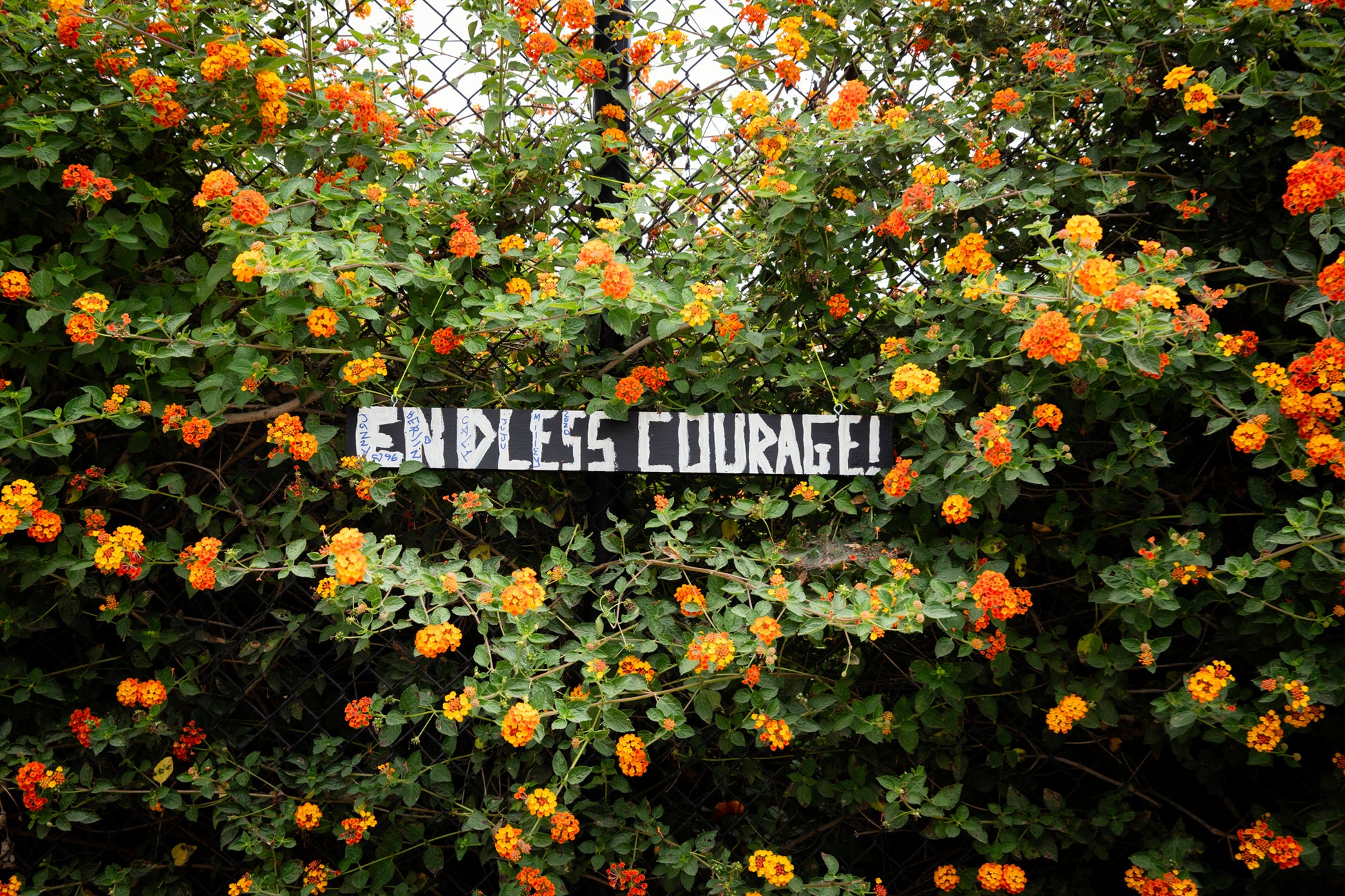 ENDLESS COURAGE vibrant art print on chain-link fence with orange and yellow flowers inspiring resilience and bravery.