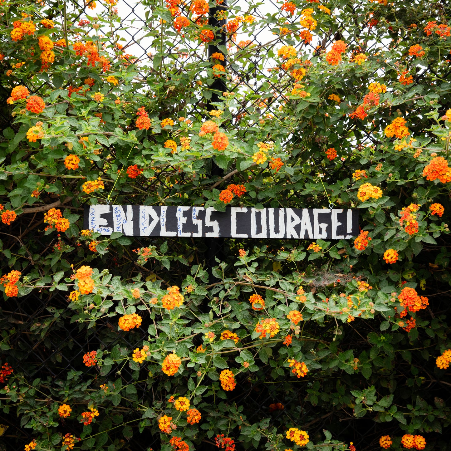 ENDLESS COURAGE art print with bold text amid vibrant orange and yellow flowers on a chain-link fence background.