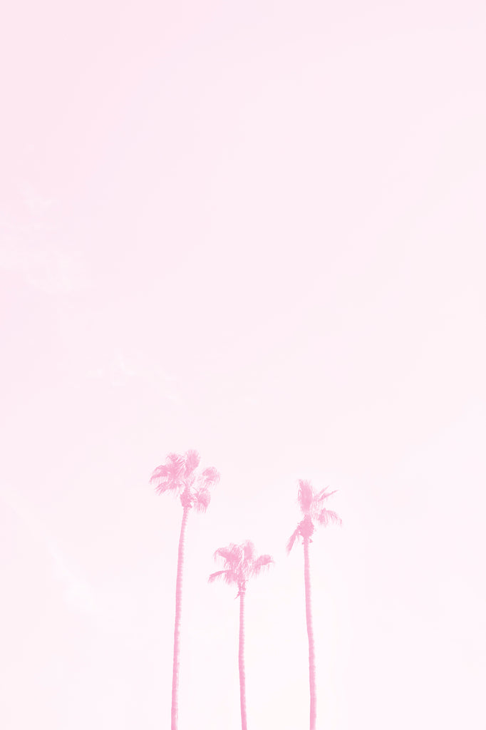 three palm trees washed out in pink symbolizing a family of three minimalist modern wall art by denise crew