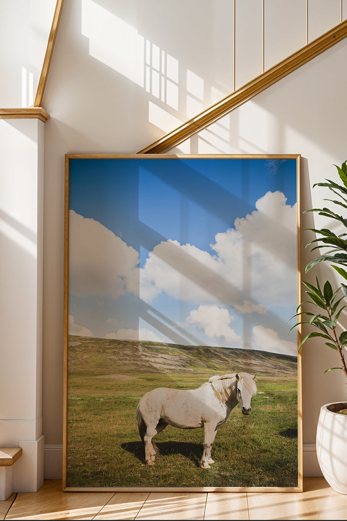 White horse standing in a sunlit field under a clear blue sky – serene nature and animal print