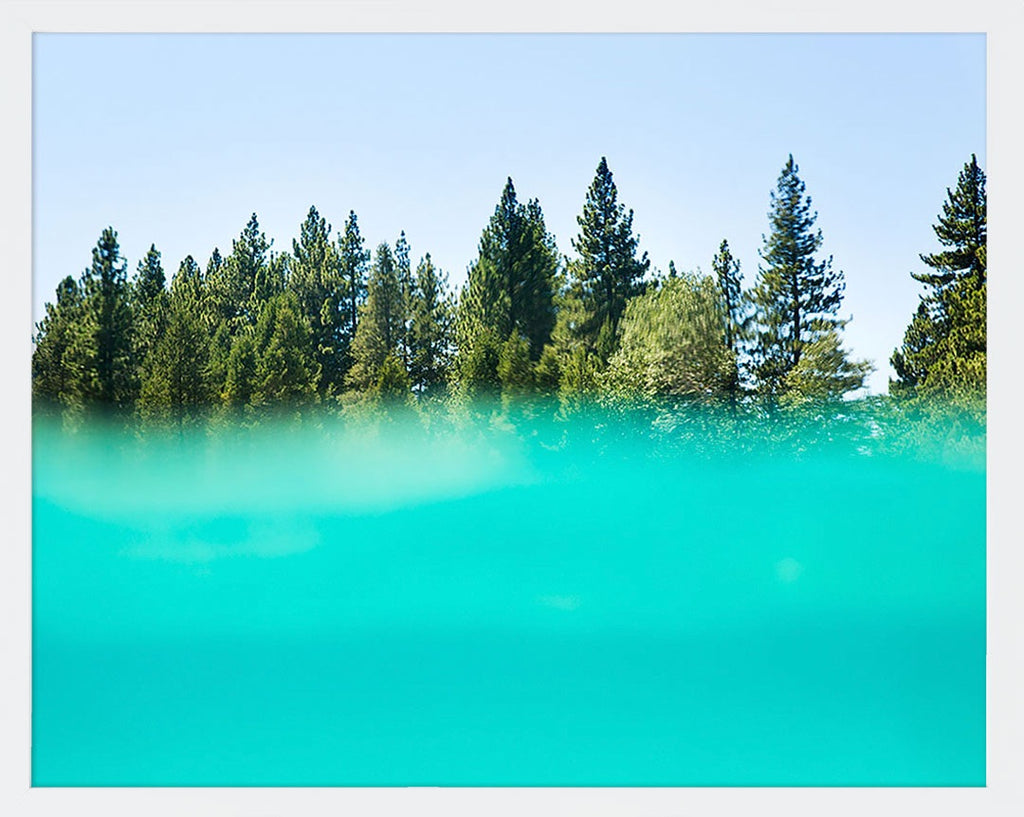 An abstract image of turquoise water and green pine trees. Available in square and horizontal formats from size 5x5 up to 30x45. Printed on archival luster matte paper. - PRINTSHOP by Denise Crew